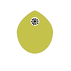 Arantus