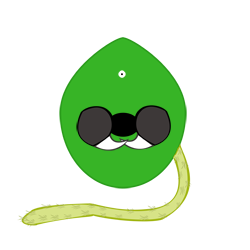 evobas