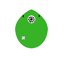 Arkanus