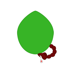 evobas