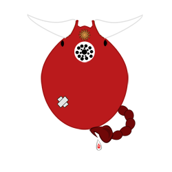 Blito