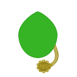 Dardonegro