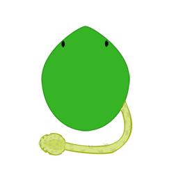 evobas