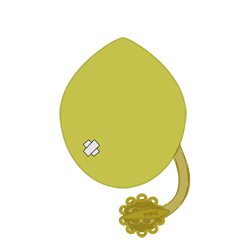 Desterrados