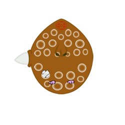 evobas