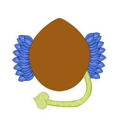 Drocoks