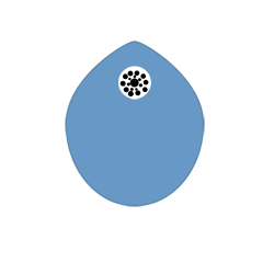 Evobasapiens