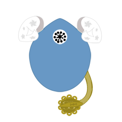 evobas