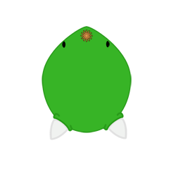 evobas
