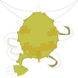 Imperitus