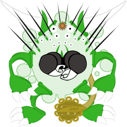 evobas