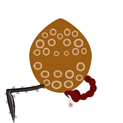 Especie - Iym evobas