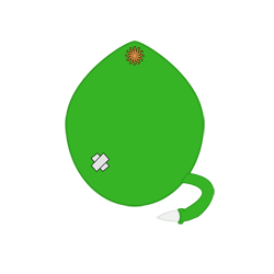 evobas