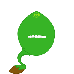 Kawa