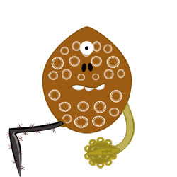 evobas