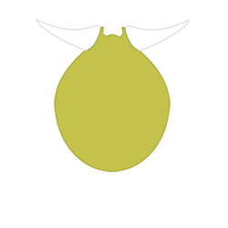 evobas