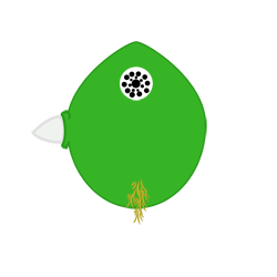 Lapasmutantes