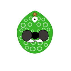 evobas