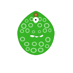 Liyosanos