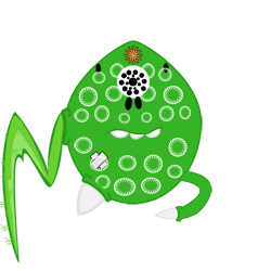 Manya