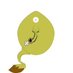 Maracuya
