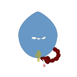 evobas