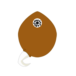 Minieligio
