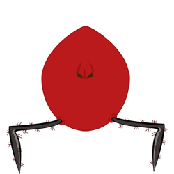 evobas