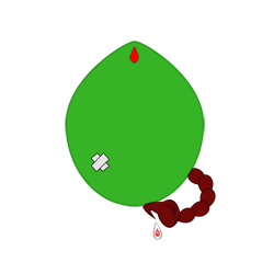 evobas