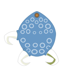 Oscuros