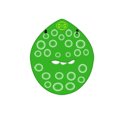 Paiderastes_depravatus