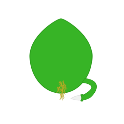 Panchitos