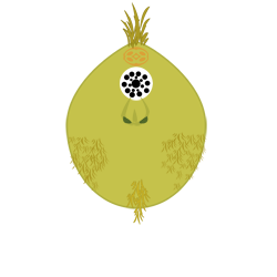 Pistelito