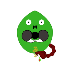 Plikatus
