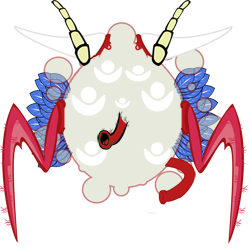 Quimioorganoheterotrofos
