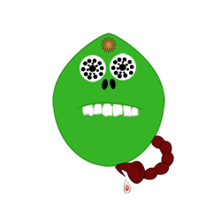 Raritos