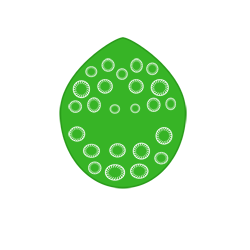 Especie - Replicators evobas
