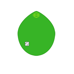 Roigjeco