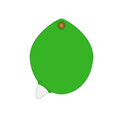 evobas
