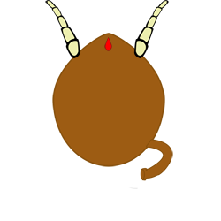 Tukas_rabdomiolis