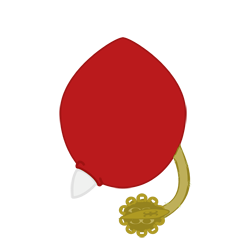 Wachimangos
