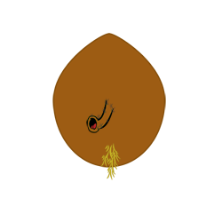 Xahzli