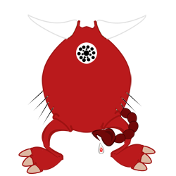 Xxcarniboroxx