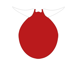 Zocz